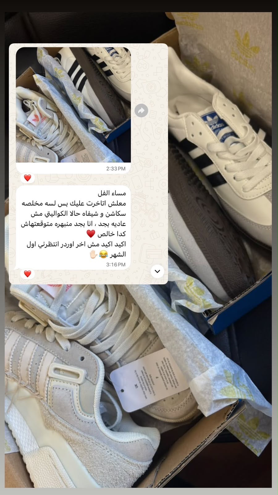 Customer Feedback